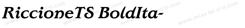 RiccioneTS BoldIta字体转换